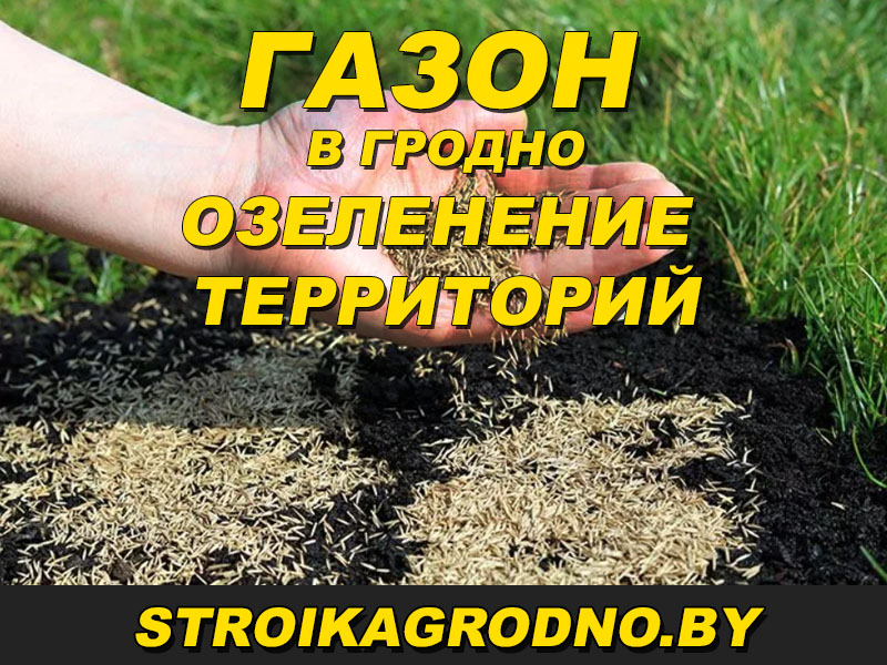 Посев газона в Гродно под ключ по низкой стоимости за кв. м. и за сотку. 💠. Профессиональные работы по озеленению территории в Гродно и области. Звоните!